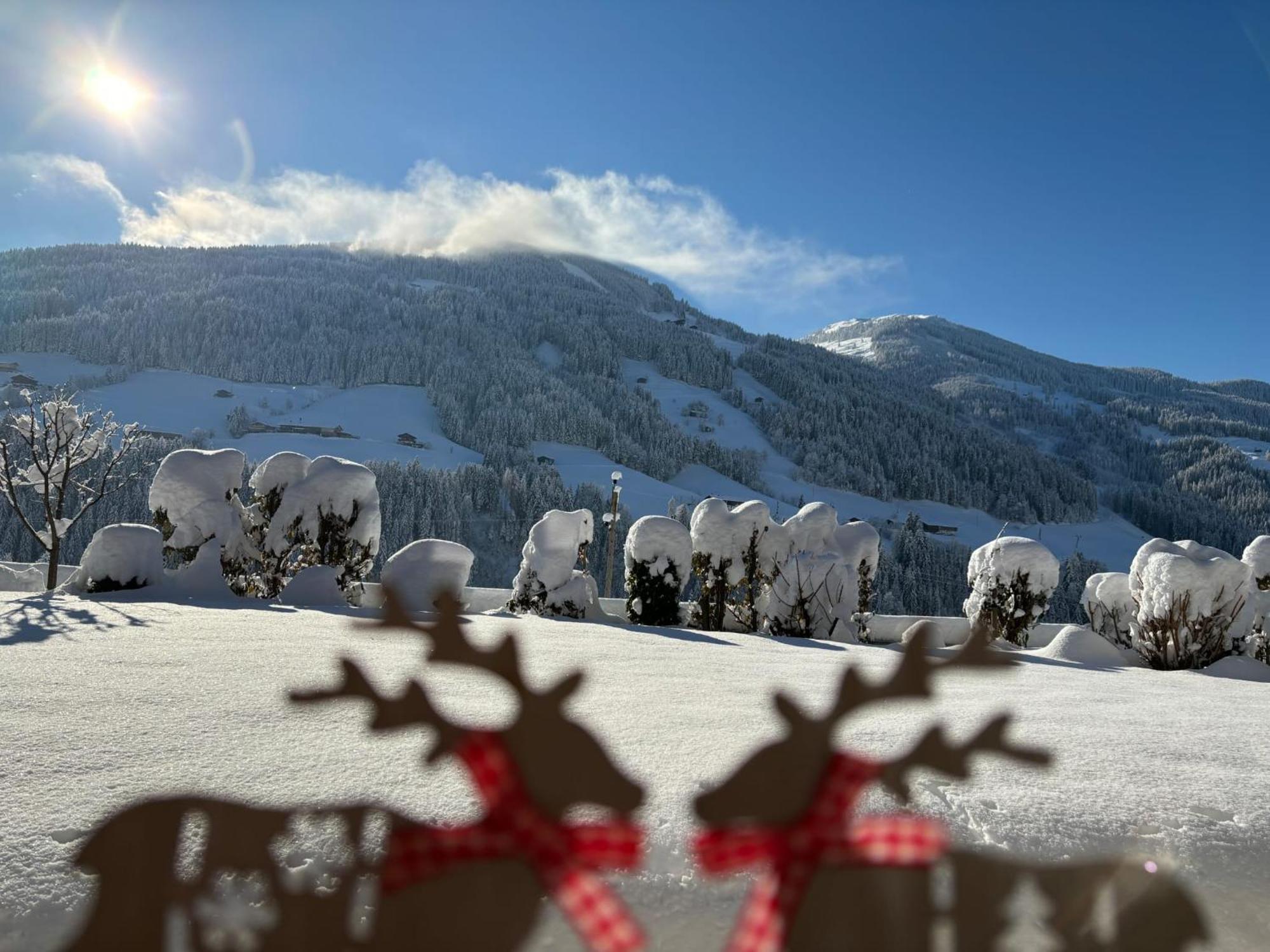 Haus Schmetterling Lejlighed Alpbach Eksteriør billede