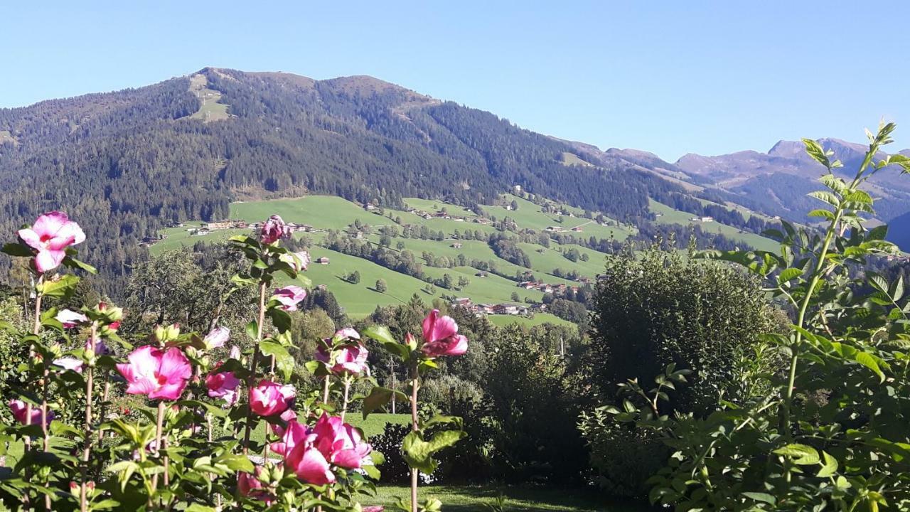 Haus Schmetterling Lejlighed Alpbach Eksteriør billede
